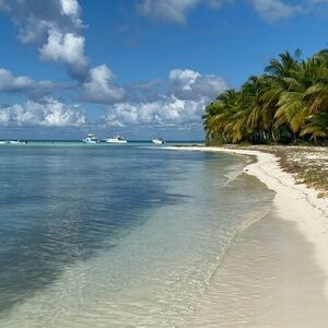 Meet your Posher, Ann